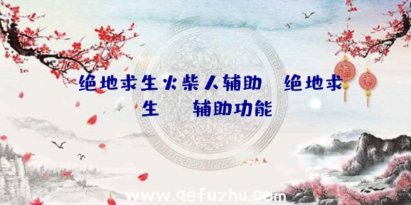「绝地求生火柴人辅助」|绝地求生PNG辅助功能